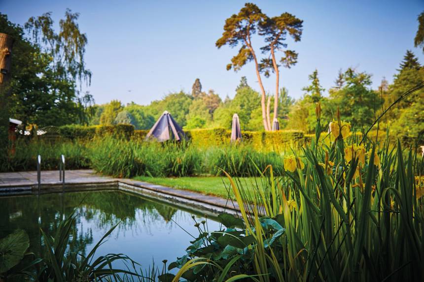 C7A8874 Natural Pool